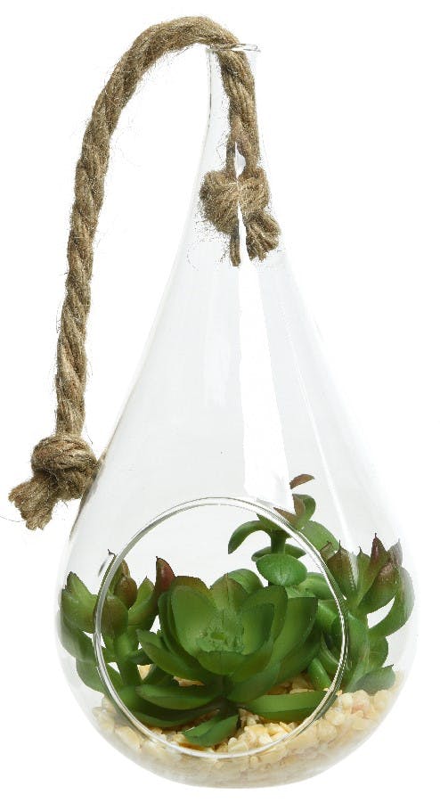 Plante grasse dans poire suspendue en verre M1