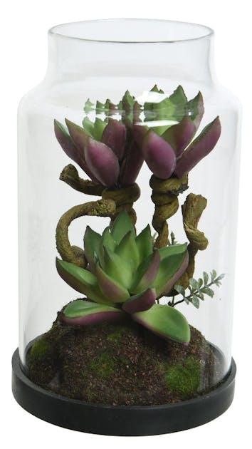 Plante grasse violette en bouteille verre | Fleurs / Plantes artificielles  | Pier Import