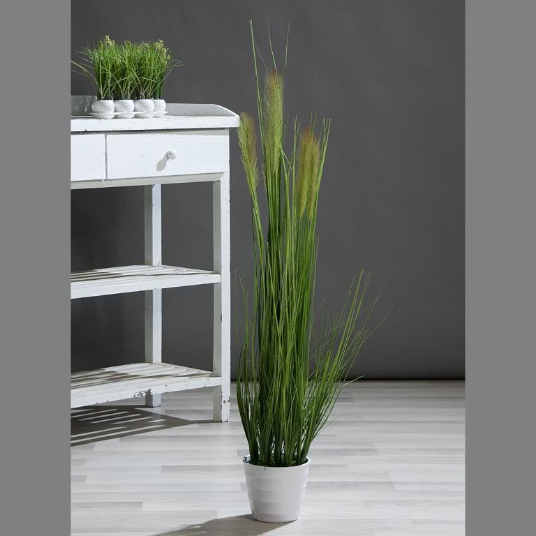 Plante HERBE ARRANGEE en pot 110cm