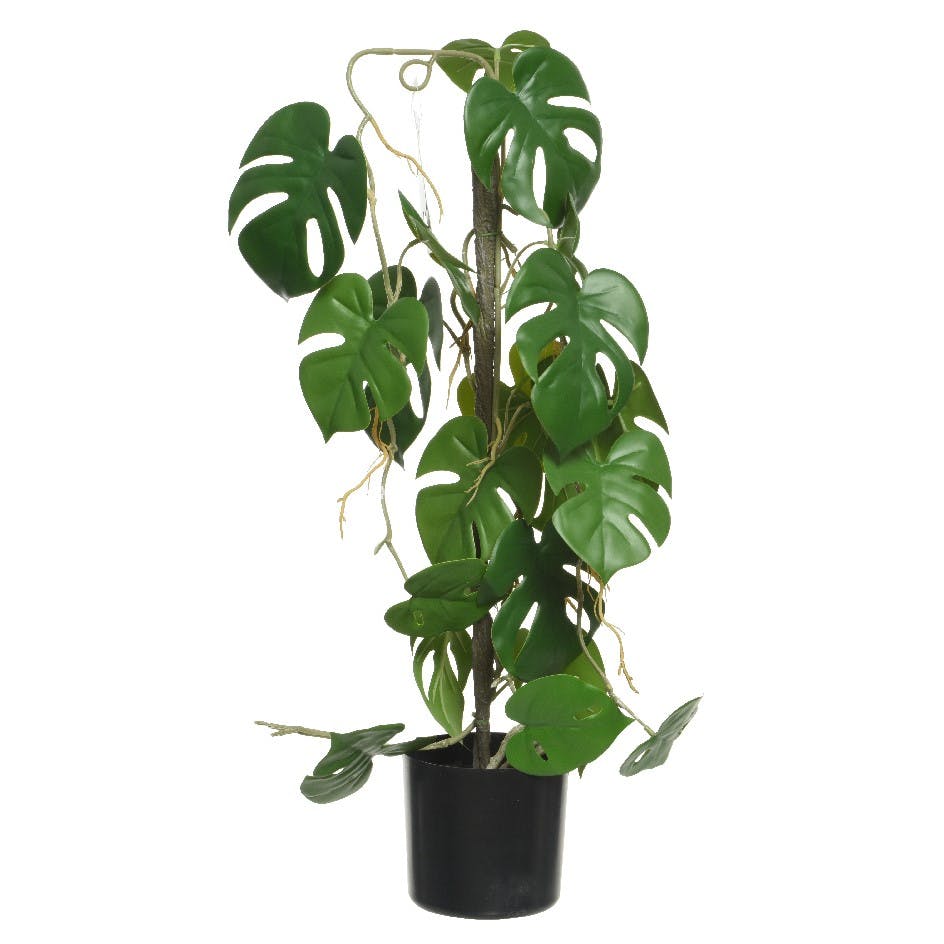 Plante Monstera artificielle H63,5 cm
