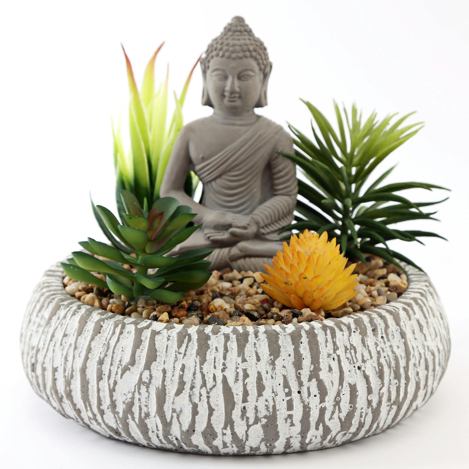 Plante succulente et Bouddha en pot