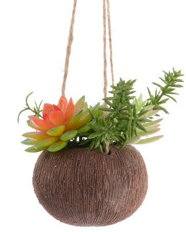 Plante suspendue orangée pot façon coco