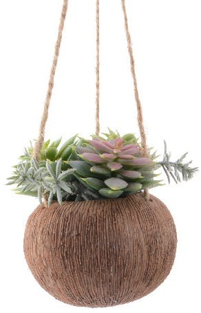 Plante suspendue rosée pot façon coco