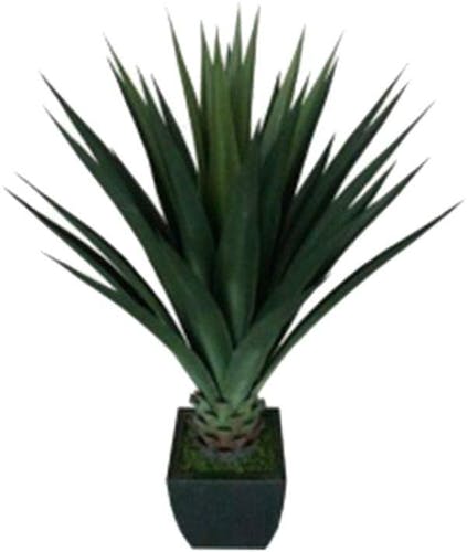 Plante verte exotique dans son pot noir H130cm