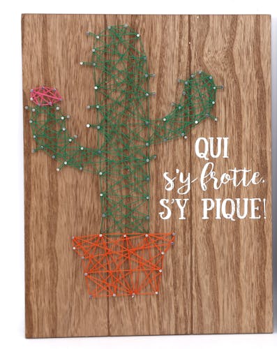 Plaque déco Cactus "Qui s'y frotte s'y pique" en bois 30x40cm