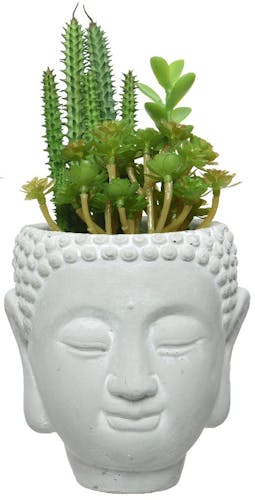 Pot Bouddha avec plante grasse M2