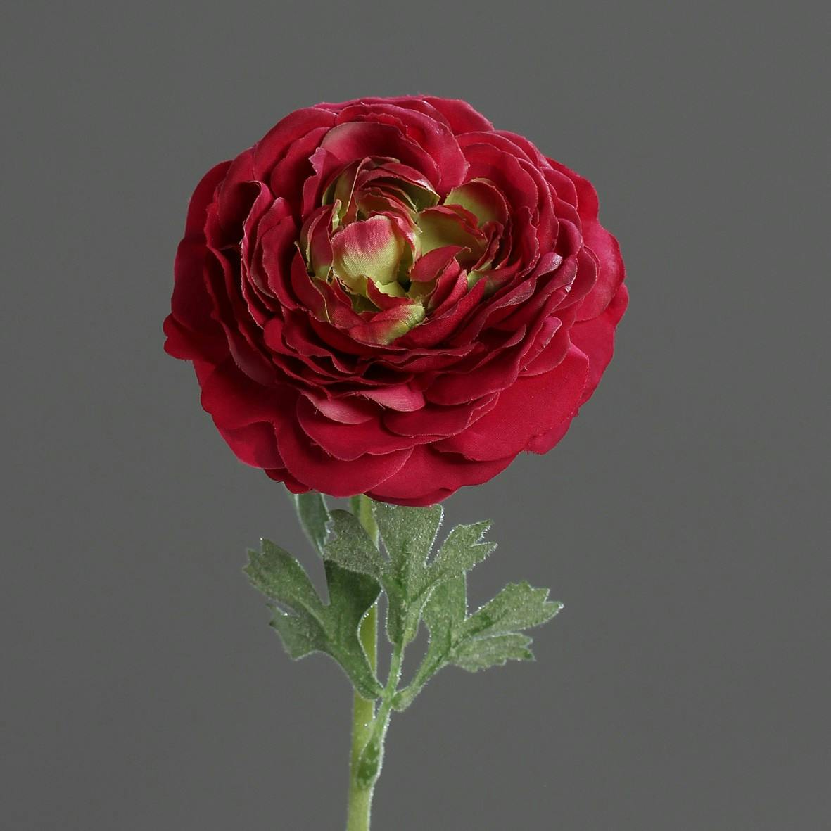 Renoncule fuchsia 1 fleur 45CM
