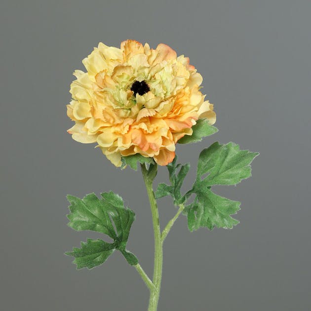 Renoncule jaune tige 50 cm | Fleurs / Plantes artificielles | Pier Import
