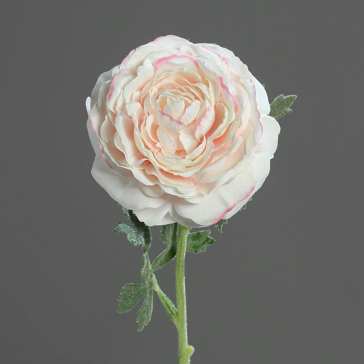Renoncule Rose 1 fleur 45CM