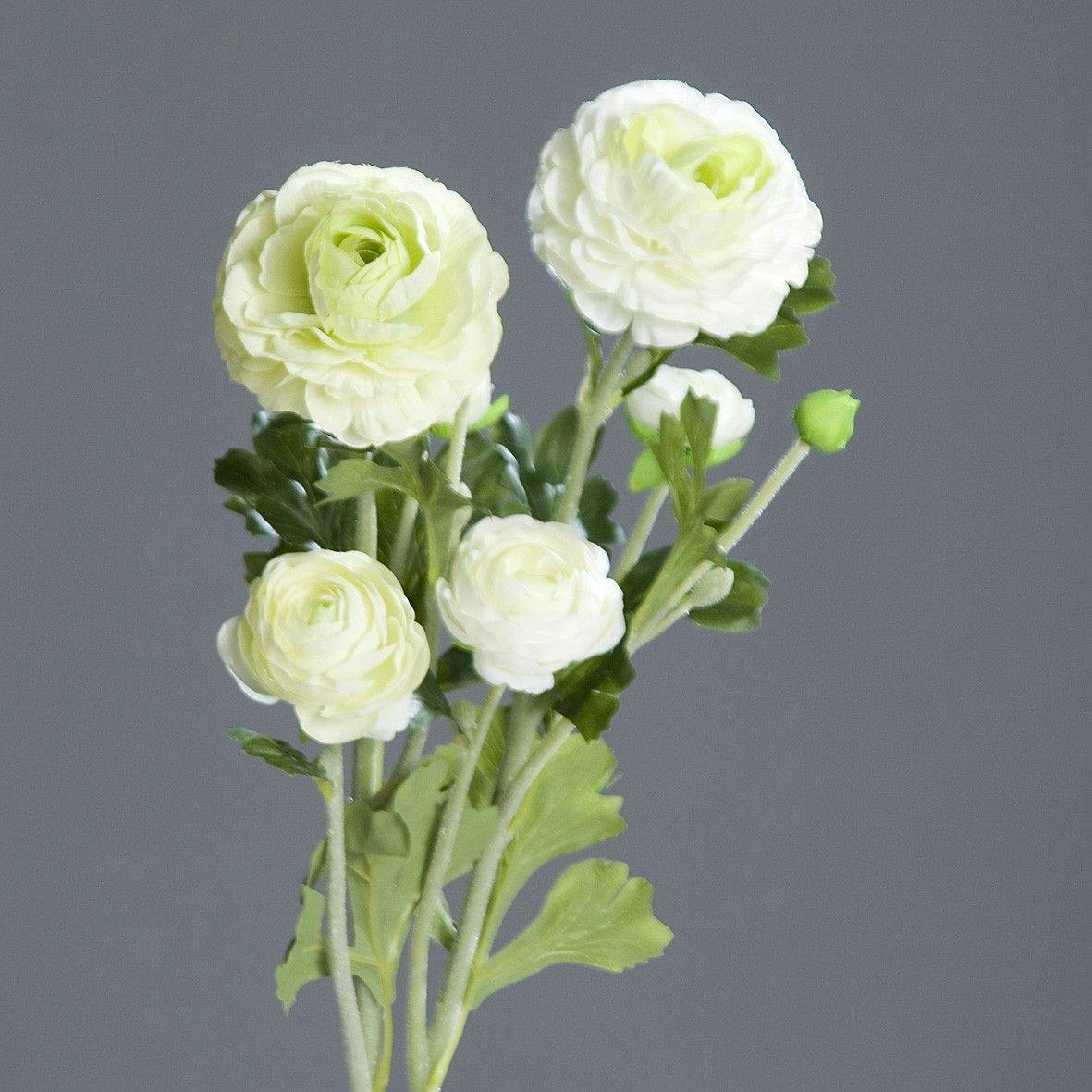 Renoncule vert/blanc