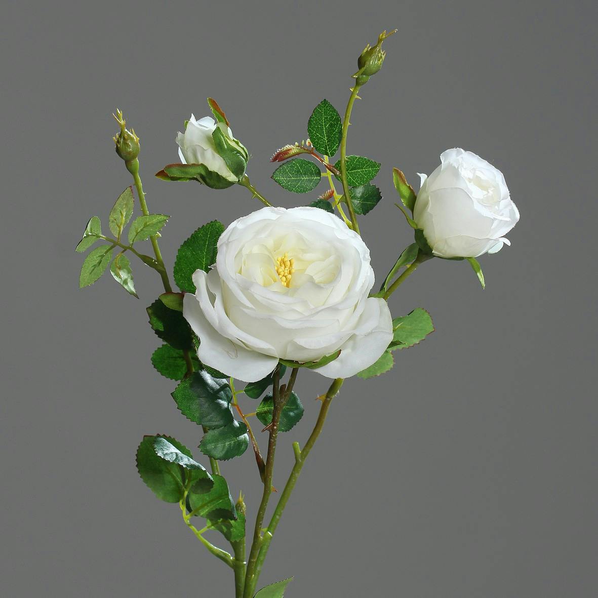 Rose 2 fleurs avec boutons Crème 60CM