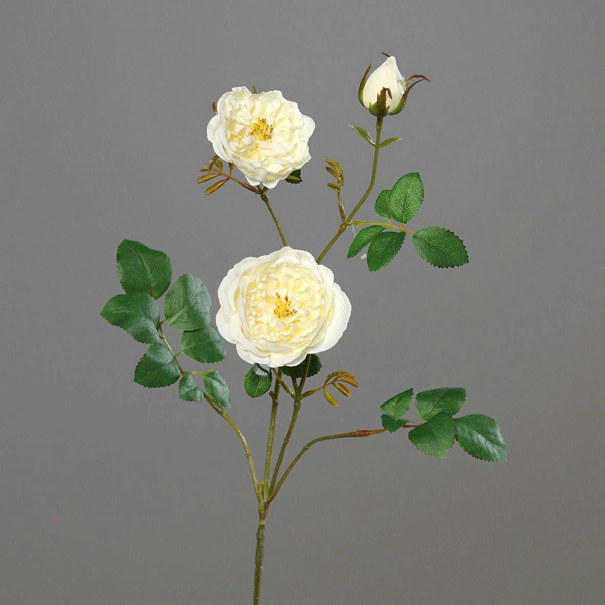 Rose blanc-crème branche 2 fleurons 1 bouton 70 cm