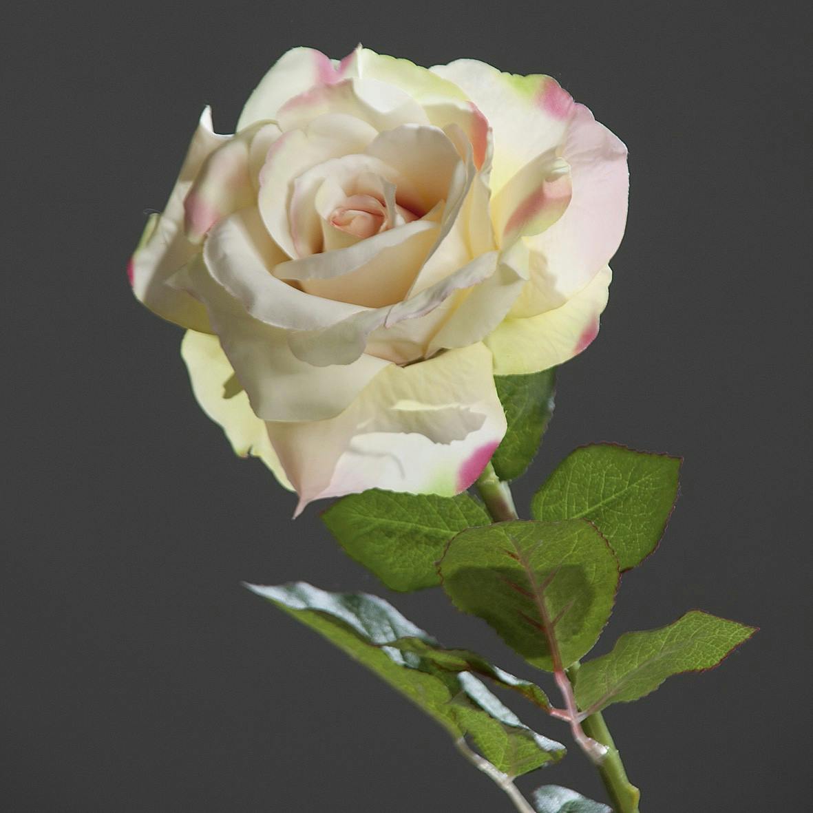 Rose Bogota XL Rose et Vert 56CM