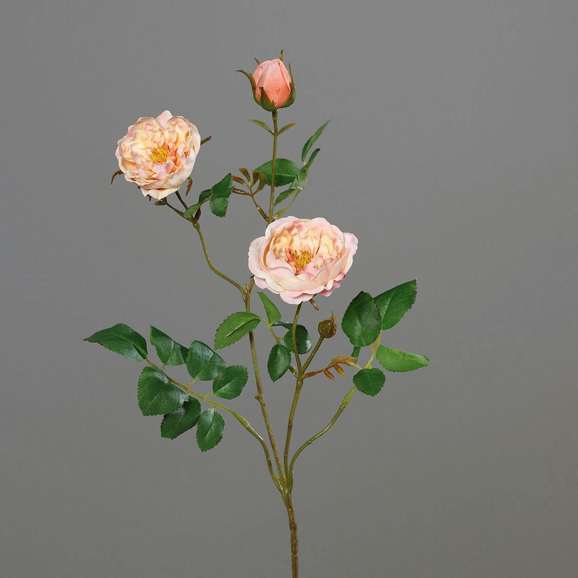 Rose orange-pêche branche 2 fleurons 1 bouton 70 cm