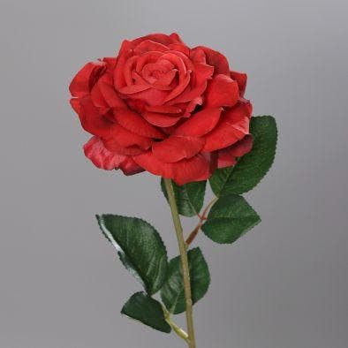 Rose ouverte couleur rouge, 56cm