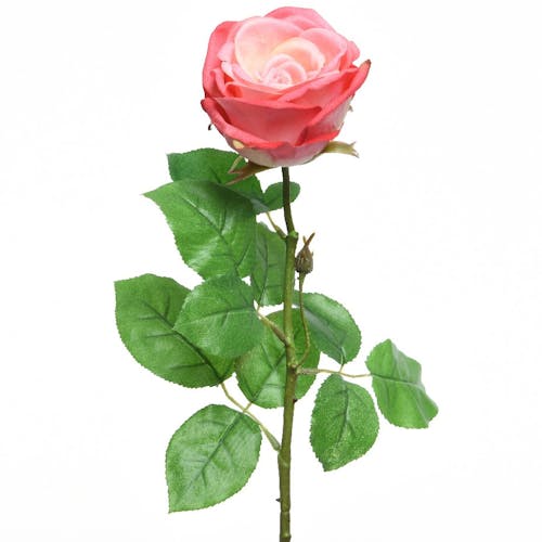 Rose rose en soie sur tige 68cm