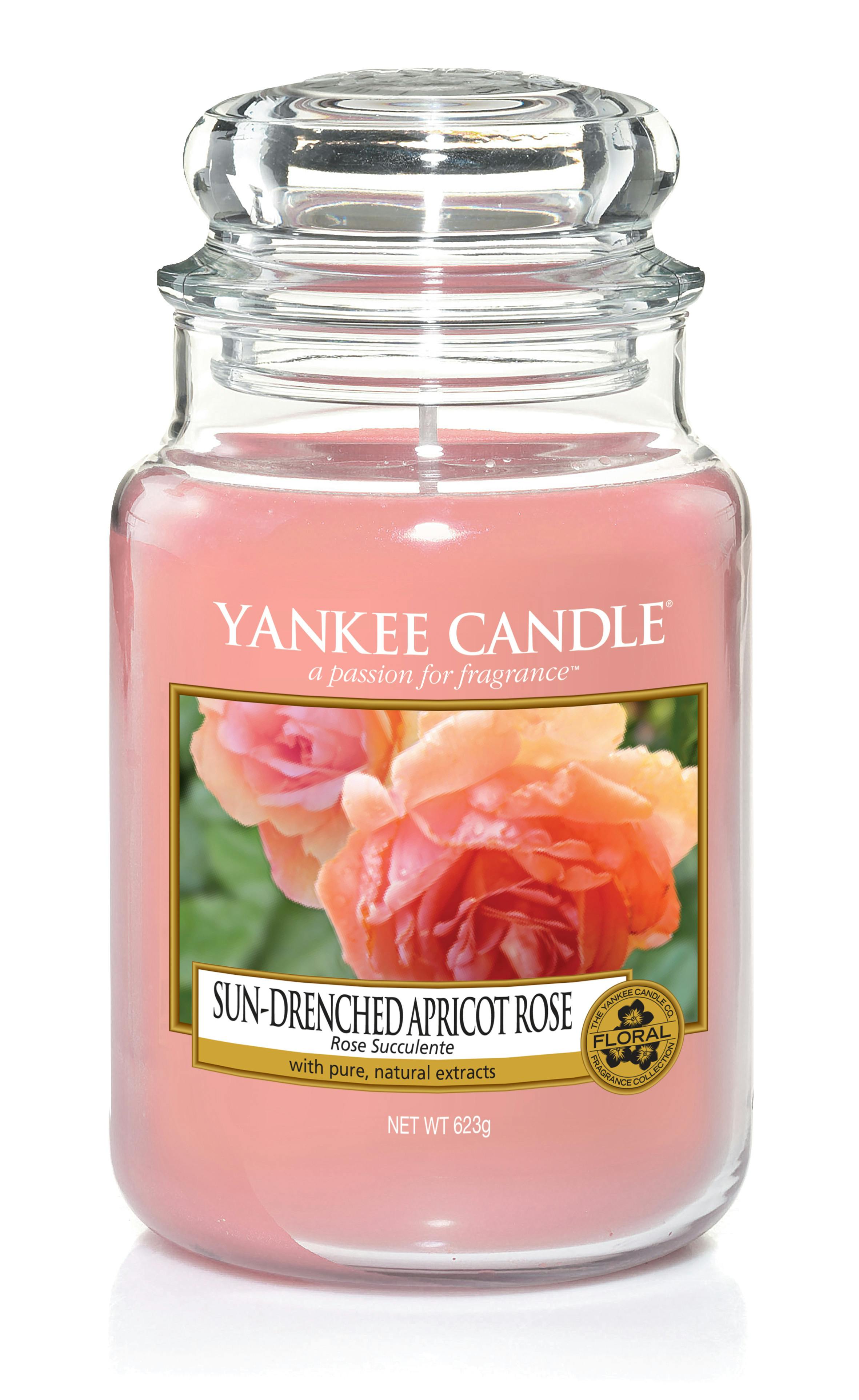 Rose succulente bougie parfumée grande jarre YANKEE CANDLE