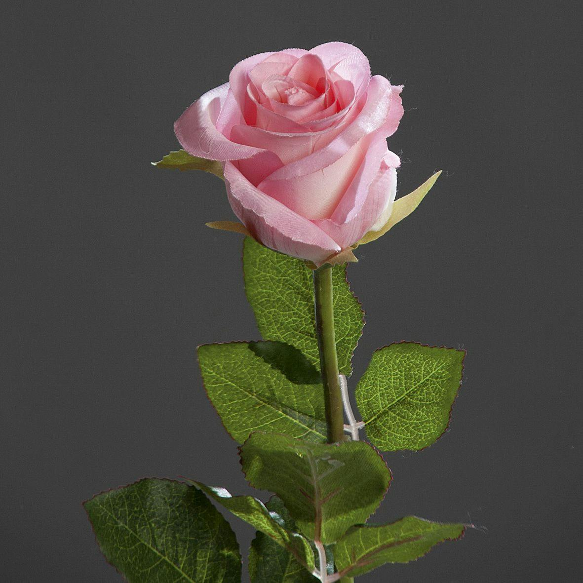 Rose tige 55 cm rose