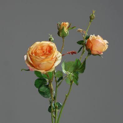 Roses en boutons, 2 fleurs, coloris jaune orangé, 60cm