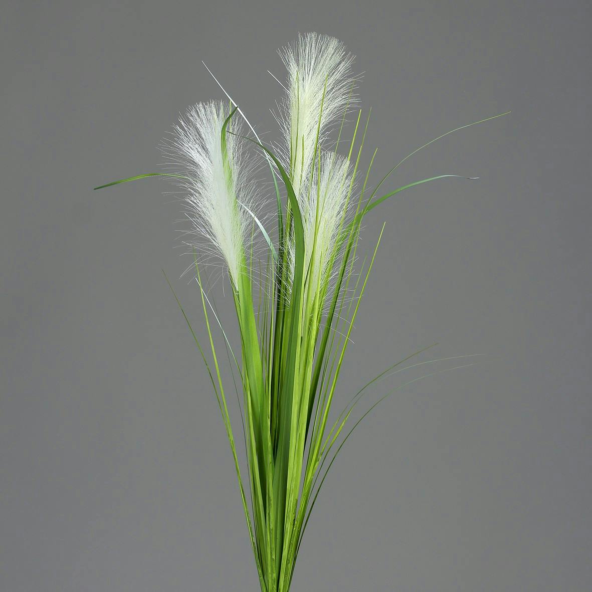 Sétaire palmier Crème 70CM