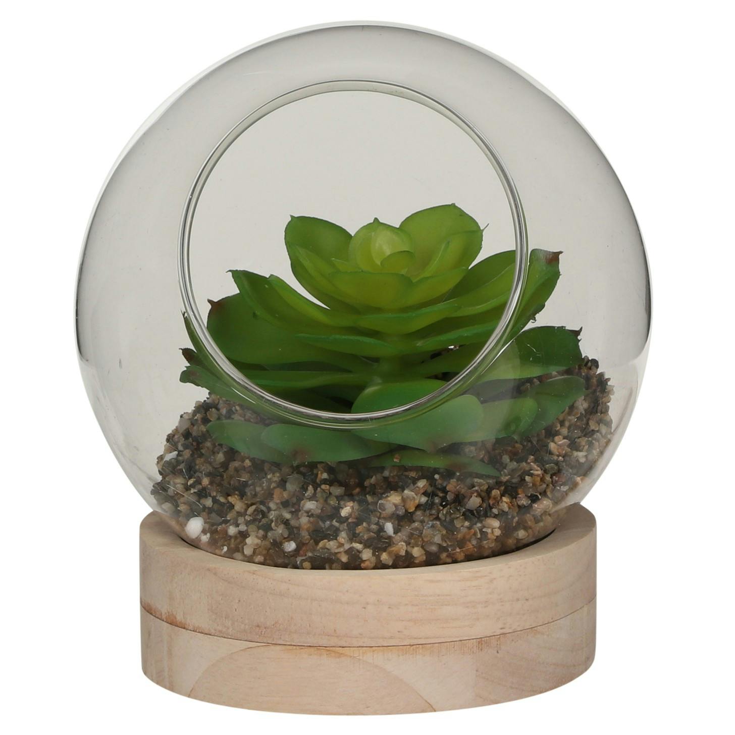 Succulente en vase rond sur plateau bois