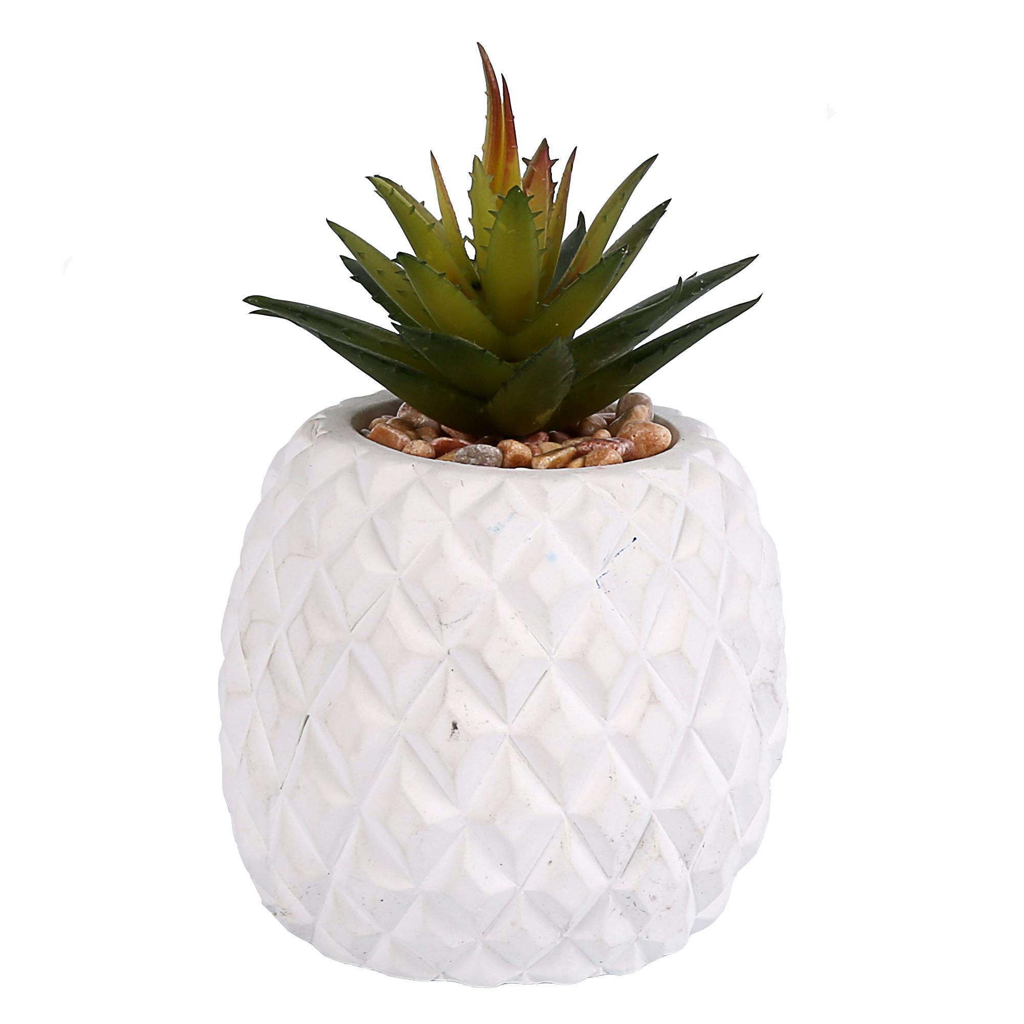 Succulente Plante "grasse" dans son pot blanc forme Ananas et pierres décoratives D8,5xH12cm