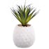 Succulente Plante "grasse" longues feuilles dans son pot blanc forme Ananas et pierres décoratives 9x9,5xH22cm