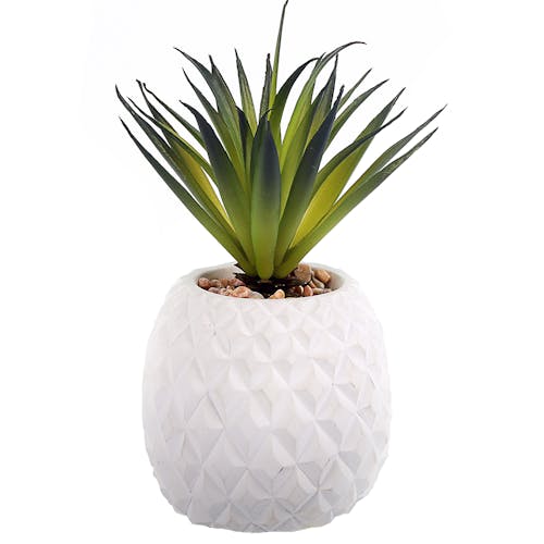 Succulente Plante "grasse" longues feuilles dans son pot blanc forme Ananas et pierres décoratives 9x9,5xH22cm