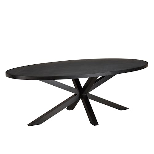 Table à manger ovale bois anthracite effet pierre 220 cm BIHAR