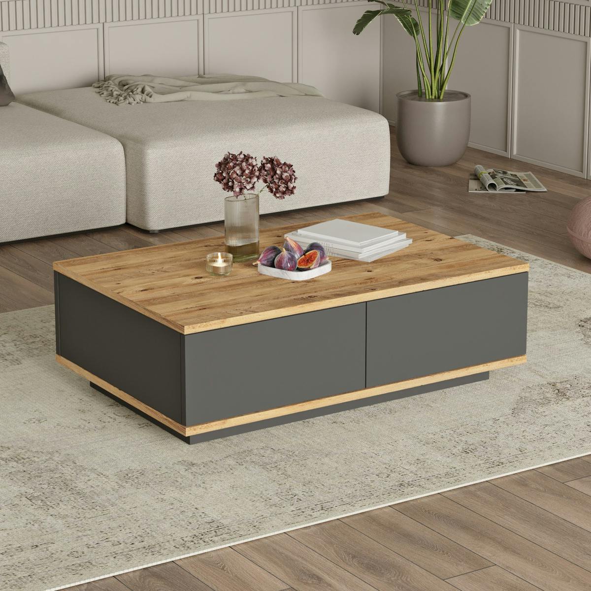 Table basse moderne, 2 rangements gris fermés MARFA