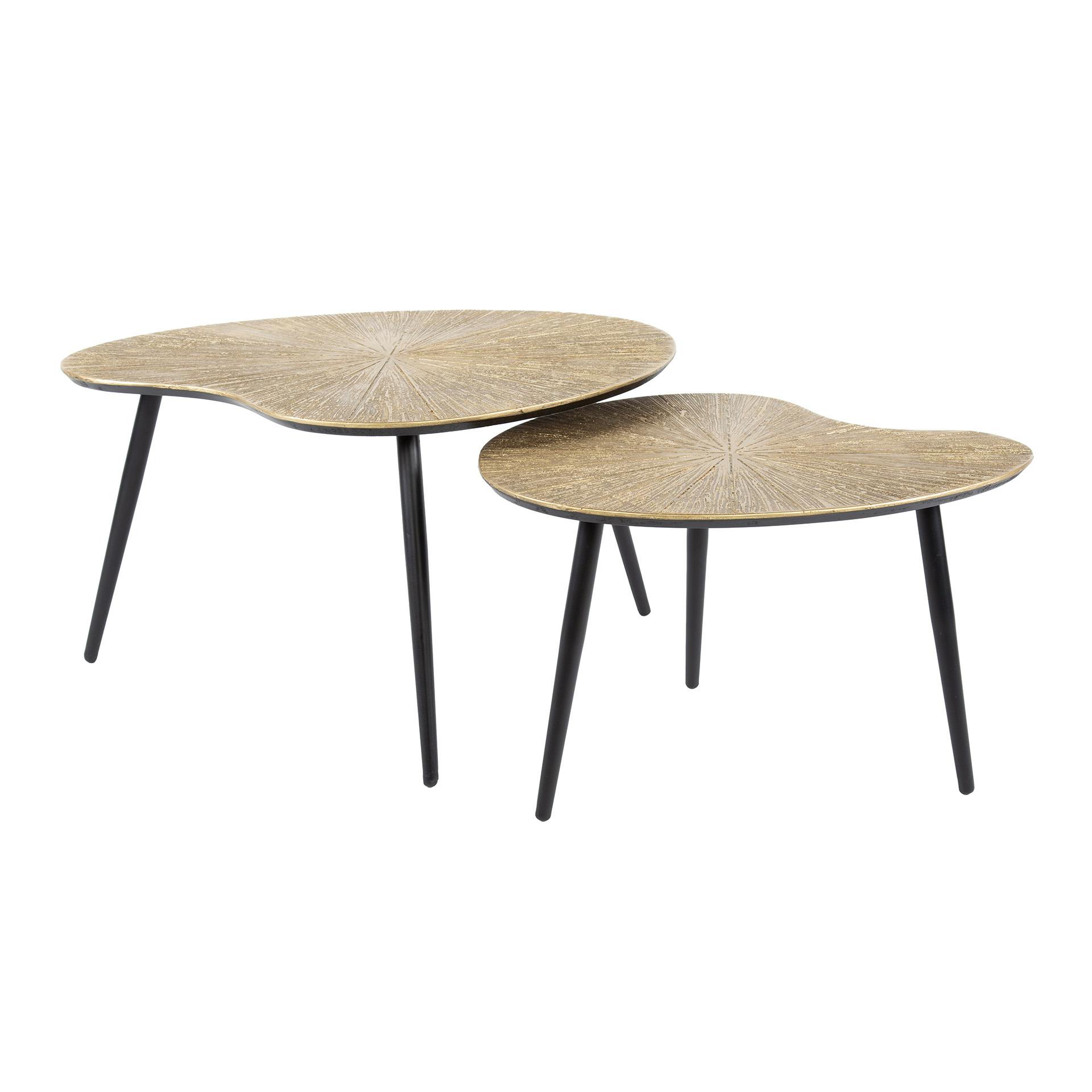 Table basse organique, feuille de ginkgo stylisée (lot de 2) RALF