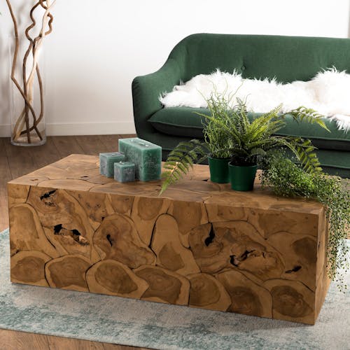 Table basse rectangulaire en bois de style exotique