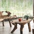 Table basse en bois massif de racine de style exotique