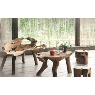  Table basse en bois massif de racine de style exotique