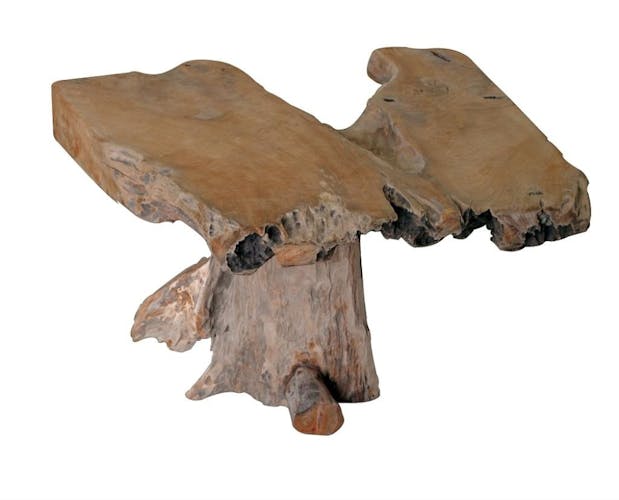 Table basse en bois massif de racine de style exotique