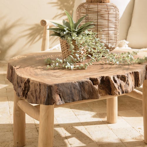 Table basse tronc de teck naturel style exotique MANAK