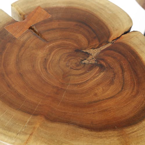 Table d'appoint tronc d'arbre acacia CANADA