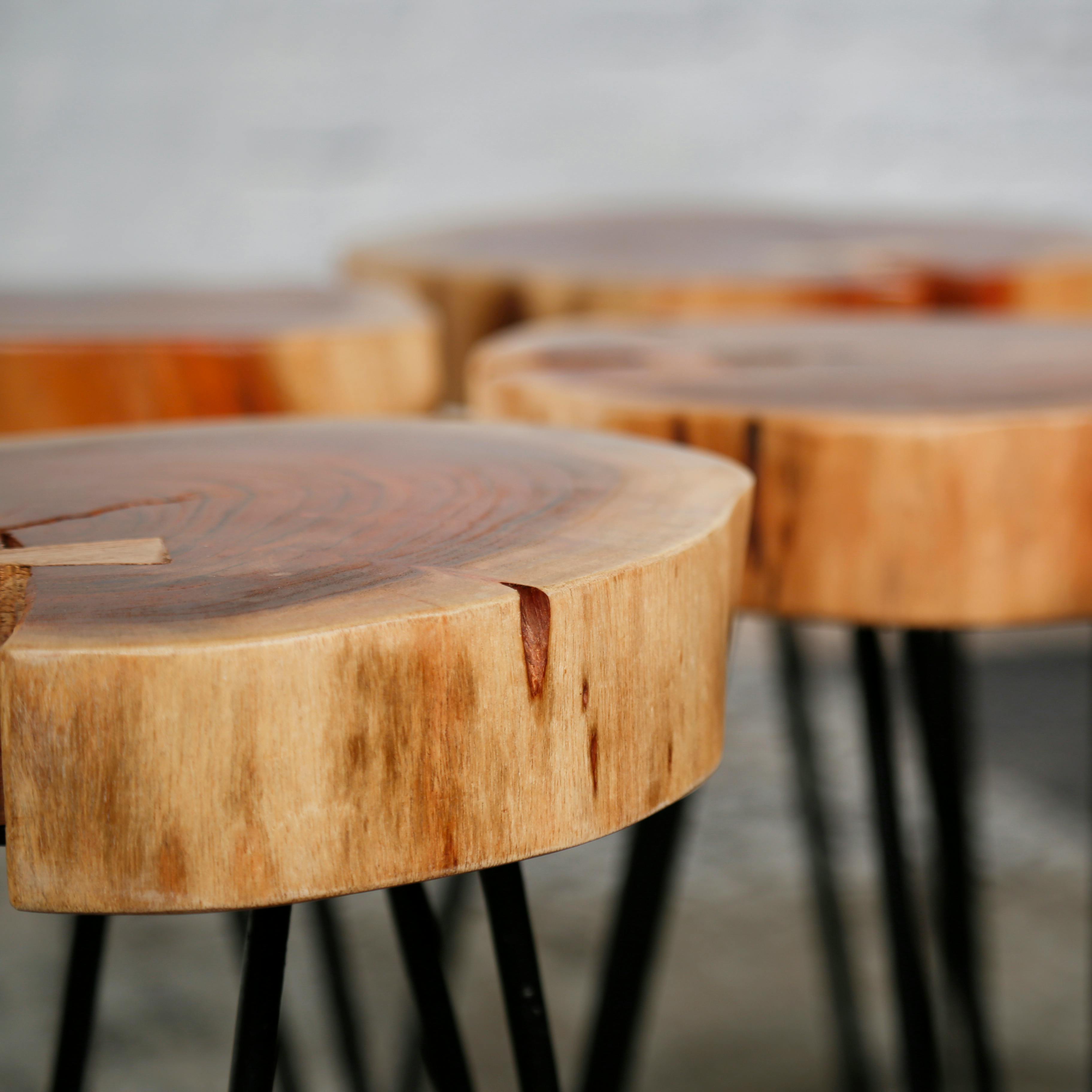 Table d'appoint unique WILD 50cm en teck Rondelle d'arbre Table basse