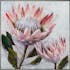 Table fleur rose pale pivoine 72,5x72,5