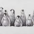 Tableau ANIMAUX Groupe de pingouins noirs et blancs 50x70cm