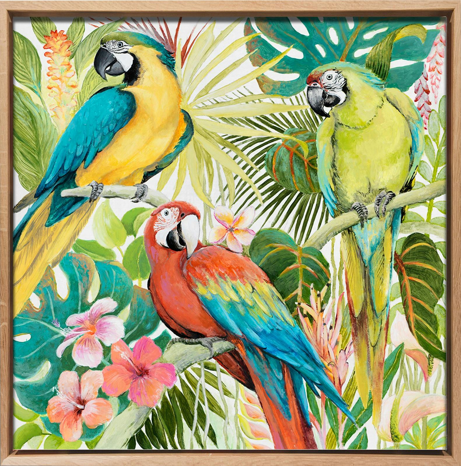 Tableau ANIMAUX Trio de perroquets multicolores dans la jungle Caisse américaine en chêne massif 70x70cm