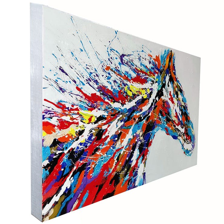 Tableau de cheval multicolore