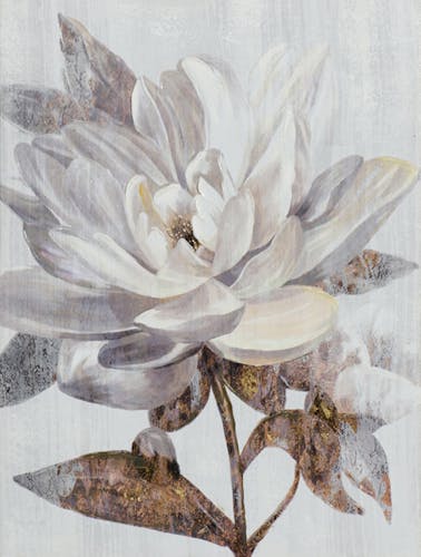 Tableau de fleur blanche