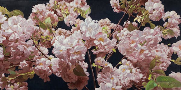 Tableau de fleurs hortensias sur fond noir