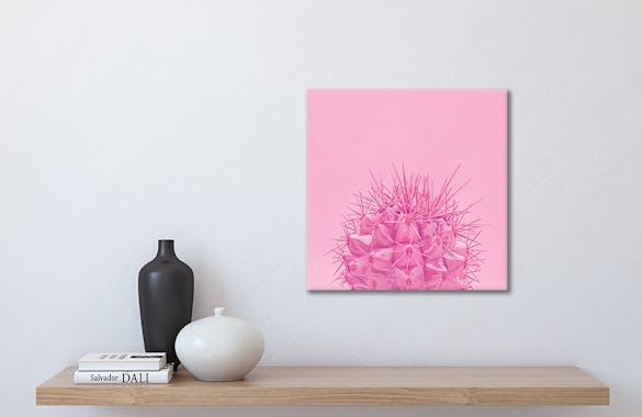 Tableau design cactus fond rose aluminium