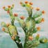 Tableau FLEURS cactus en fleurs tons verts, orangés, bleus et blancs 60x60cm