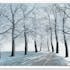 Tableau FORET Une route en hiver Caisse américaine en bois blanc 100x75cm