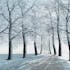 Tableau FORET Une route en hiver Caisse américaine en bois blanc 100x75cm
