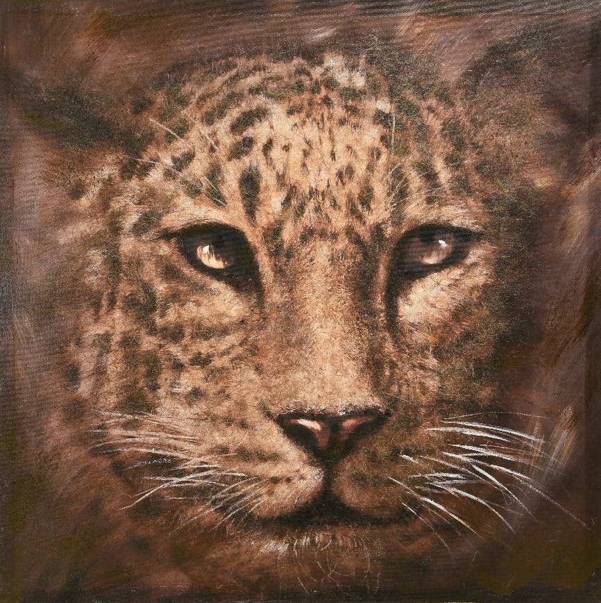 Tableau léopard 80X80cm