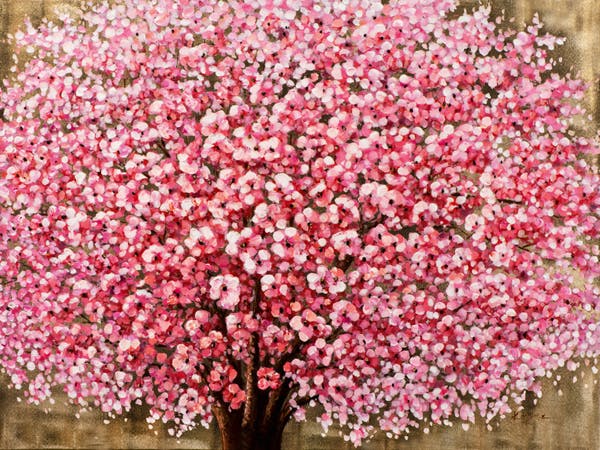 Tableau nature cerisier en fleurs tons vifs